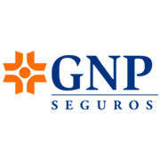 GNP